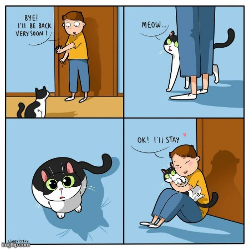 A Cat Guy's Way Of Thinking | image tagged in memes,comics,bye,cats,no no stay with me,ok | made w/ Imgflip meme maker