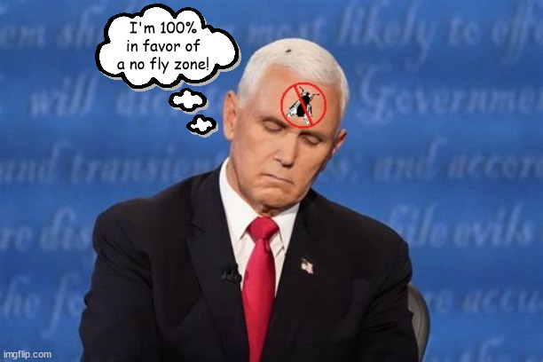 No fly zone.. | I'm 100% in favor of a no fly zone! | image tagged in mike pence,fly,no fly zone,maga,pence 2024,pence fly | made w/ Imgflip meme maker