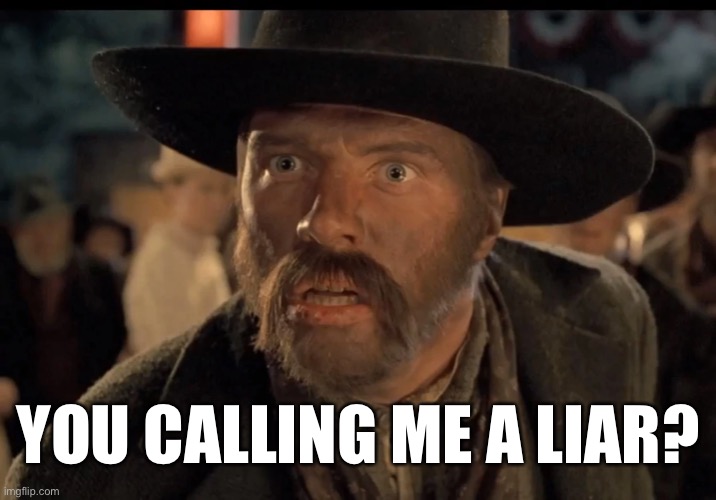 Are You? | YOU CALLING ME A LIAR? | image tagged in no one calls me | made w/ Imgflip meme maker