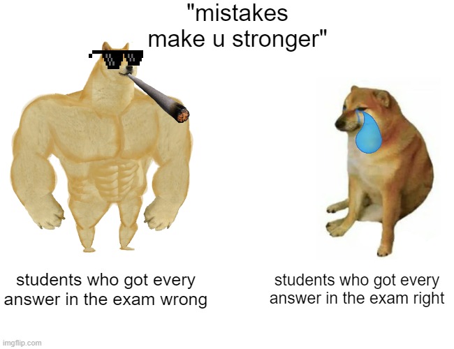 Buff Doge vs. Cheems | "mistakes make u stronger"; students who got every answer in the exam wrong; students who got every answer in the exam right | image tagged in memes,buff doge vs cheems | made w/ Imgflip meme maker