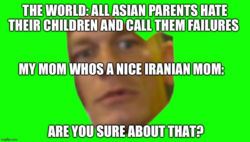 Are you sure about that? | THE WORLD: ALL ASIAN PARENTS HATE THEIR CHILDREN AND CALL THEM FAILURES; MY MOM WHOS A NICE IRANIAN MOM: | image tagged in are you sure about that | made w/ Imgflip meme maker