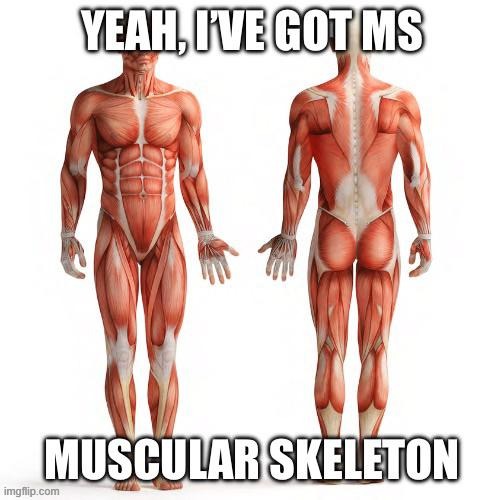 muscular skeleton memer group | made w/ Imgflip meme maker