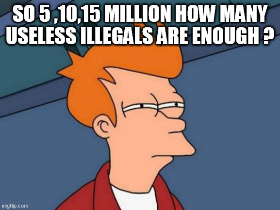 Futurama Fry Meme | SO 5 ,10,15 MILLION HOW MANY USELESS ILLEGALS ARE ENOUGH ? | image tagged in memes,futurama fry | made w/ Imgflip meme maker
