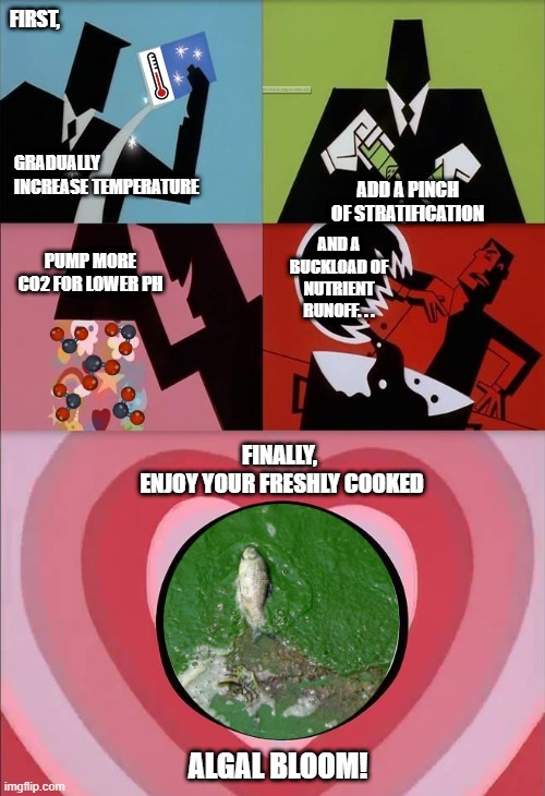 power puff girls | FIRST, GRADUALLY INCREASE TEMPERATURE; ADD A PINCH OF STRATIFICATION; AND A BUCKLOAD OF NUTRIENT RUNOFF. . . PUMP MORE CO2 FOR LOWER PH; FINALLY, 
ENJOY YOUR FRESHLY COOKED; ALGAL BLOOM! | image tagged in power puff girls | made w/ Imgflip meme maker