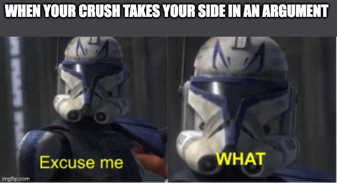 Excuse me what | WHEN YOUR CRUSH TAKES YOUR SIDE IN AN ARGUMENT | image tagged in excuse me what | made w/ Imgflip meme maker