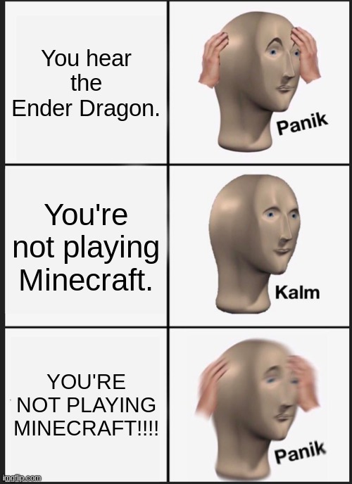 Mincraft be like this when you play too much | You hear the Ender Dragon. You're not playing Minecraft. YOU'RE NOT PLAYING MINECRAFT!!!! | image tagged in memes,panik kalm panik | made w/ Imgflip meme maker