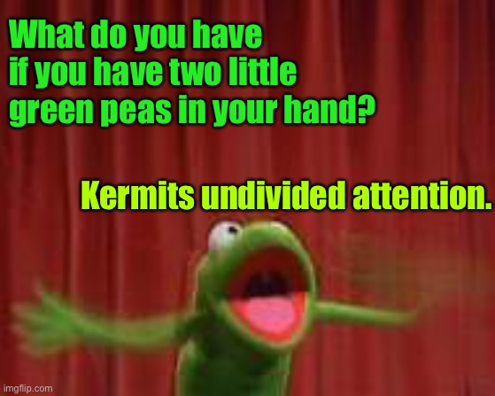 Kermit’s undivided attention | What do you have if you have two little green peas in your hand? Kermits undivided attention. | image tagged in what i have,two little green peas,in my hand,undivided attention,dark humour | made w/ Imgflip meme maker