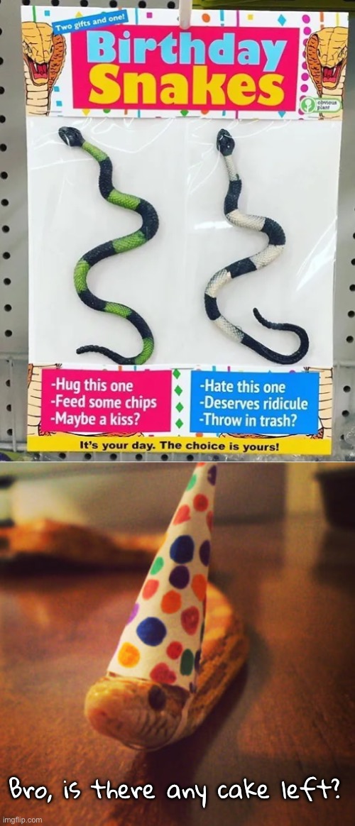 Don’t do me any party favors. | Bro, is there any cake left? | image tagged in funny memes,birthday snake,fake products | made w/ Imgflip meme maker