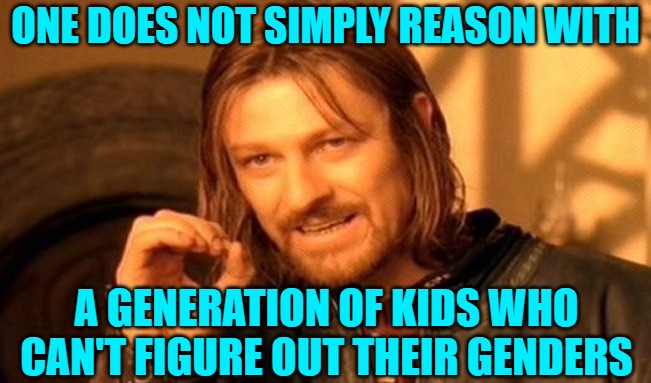 One Does Not Simply Meme | ONE DOES NOT SIMPLY REASON WITH A GENERATION OF KIDS WHO CAN'T FIGURE OUT THEIR GENDERS | image tagged in memes,one does not simply | made w/ Imgflip meme maker