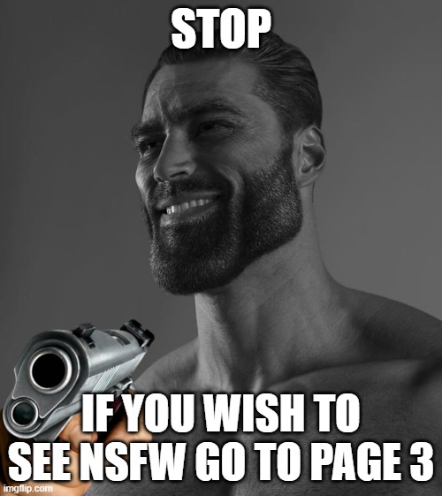 STOP; IF YOU WISH TO SEE NSFW GO TO PAGE 3 | made w/ Imgflip meme maker