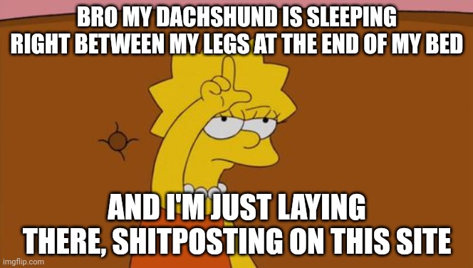 Bruh | BRO MY DACHSHUND IS SLEEPING RIGHT BETWEEN MY LEGS AT THE END OF MY BED; AND I'M JUST LAYING THERE, SHITPOSTING ON THIS SITE | image tagged in lisa simpson loser | made w/ Imgflip meme maker