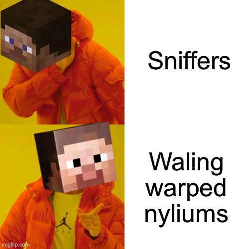 Yeah more SNIFFERS | Sniffers; Waling warped nyliums | image tagged in memes,drake hotline bling | made w/ Imgflip meme maker