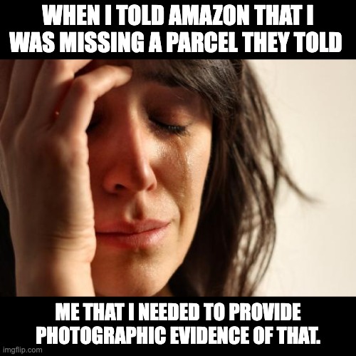 Amazon | WHEN I TOLD AMAZON THAT I WAS MISSING A PARCEL THEY TOLD; ME THAT I NEEDED TO PROVIDE PHOTOGRAPHIC EVIDENCE OF THAT. | image tagged in memes,first world problems | made w/ Imgflip meme maker