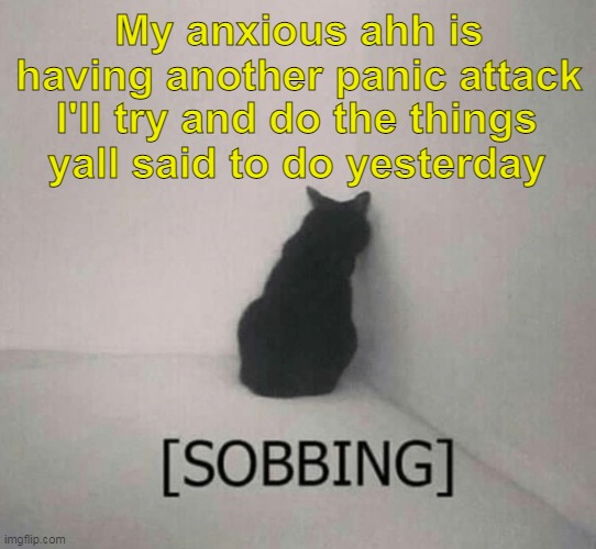 Sobbing cat | My anxious ahh is having another panic attack; I'll try and do the things yall said to do yesterday | image tagged in sobbing cat | made w/ Imgflip meme maker