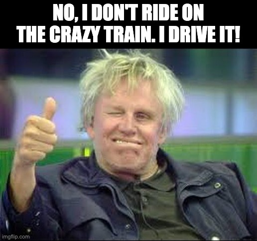 Crazy | NO, I DON'T RIDE ON THE CRAZY TRAIN. I DRIVE IT! | image tagged in gary busey approves,dad joke | made w/ Imgflip meme maker