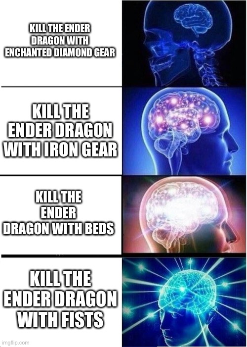 Kill the Ender Dragon | KILL THE ENDER DRAGON WITH ENCHANTED DIAMOND GEAR; KILL THE ENDER DRAGON WITH IRON GEAR; KILL THE ENDER DRAGON WITH BEDS; KILL THE ENDER DRAGON WITH FISTS | image tagged in memes,expanding brain | made w/ Imgflip meme maker
