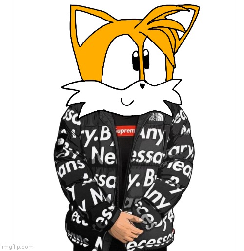 Drippy tails ??? | image tagged in tails the fox | made w/ Imgflip meme maker