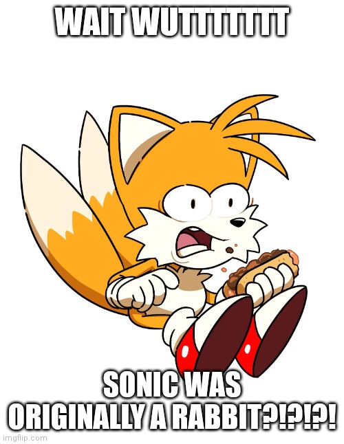 I never knew that | WAIT WUTTTTTTT; SONIC WAS ORIGINALLY A RABBIT?!?!?! | image tagged in tails choking | made w/ Imgflip meme maker