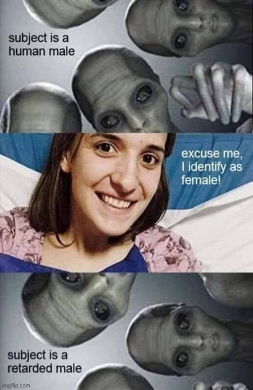 Alien identification | image tagged in logical | made w/ Imgflip meme maker
