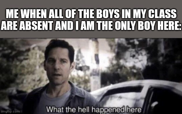 This happened to me one time | ME WHEN ALL OF THE BOYS IN MY CLASS ARE ABSENT AND I AM THE ONLY BOY HERE: | image tagged in what the hell happened here,school memes | made w/ Imgflip meme maker