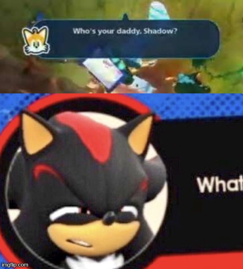 fun fcta i might get sonic forces tmrrw (ik it sucks ass but ay free dlc with shadow) | image tagged in shadow what | made w/ Imgflip meme maker