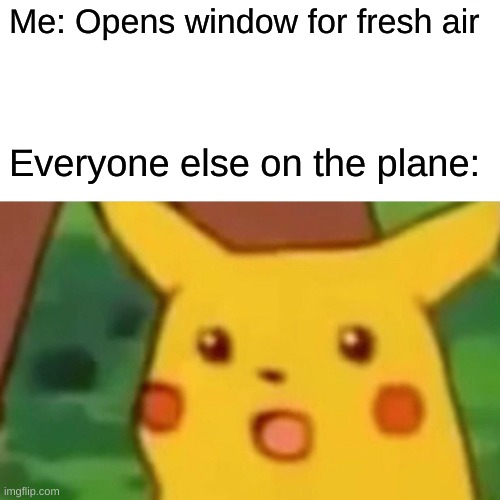 Plane crash | Me: Opens window for fresh air; Everyone else on the plane: | image tagged in memes,surprised pikachu | made w/ Imgflip meme maker