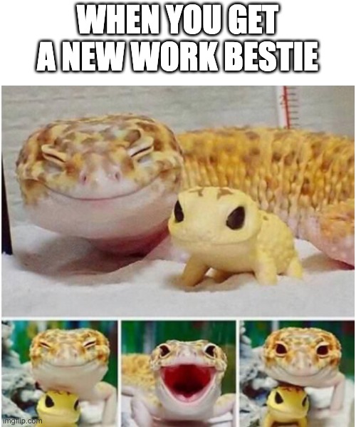 Work Bestie | WHEN YOU GET A NEW WORK BESTIE | image tagged in happy gecko | made w/ Imgflip meme maker