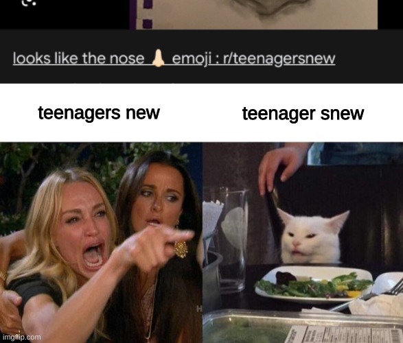 is it just me? | teenagers new; teenager snew | image tagged in memes,woman yelling at cat | made w/ Imgflip meme maker