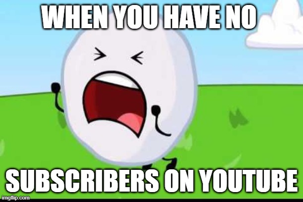 BFDI Snowball NOOOOO | WHEN YOU HAVE NO; SUBSCRIBERS ON YOUTUBE | image tagged in bfdi snowball nooooo | made w/ Imgflip meme maker