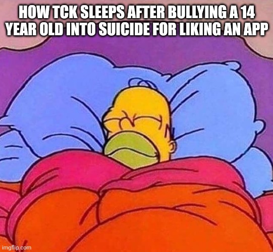 Homer Simpson sleeping peacefully | HOW TCK SLEEPS AFTER BULLYING A 14 YEAR OLD INTO SUICIDE FOR LIKING AN APP | image tagged in homer simpson sleeping peacefully | made w/ Imgflip meme maker