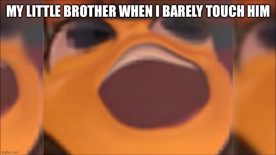 Bee movie | MY LITTLE BROTHER WHEN I BARELY TOUCH HIM | image tagged in bee movie | made w/ Imgflip meme maker