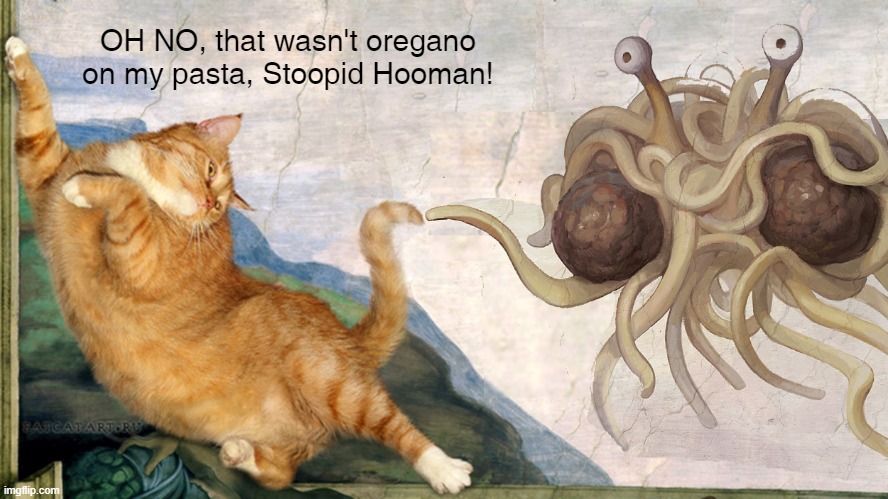 Pastafarian kitty | OH NO, that wasn't oregano on my pasta, Stoopid Hooman! | image tagged in cat,flying spaghetti monster,catnip,pasta | made w/ Imgflip meme maker