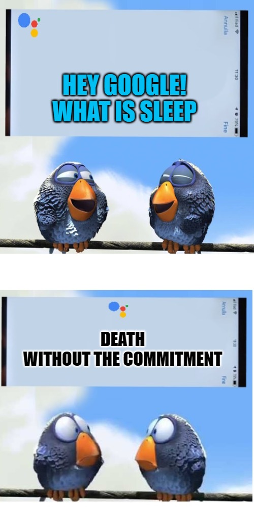 HEY GOOGLE!
WHAT IS SLEEP; DEATH
WITHOUT THE COMMITMENT | image tagged in hey google | made w/ Imgflip meme maker