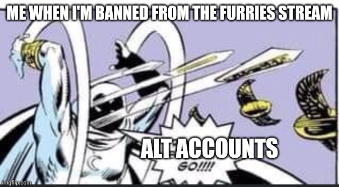 The bullying must go on | ME WHEN I'M BANNED FROM THE FURRIES STREAM; ALT ACCOUNTS | image tagged in random bullshit go | made w/ Imgflip meme maker