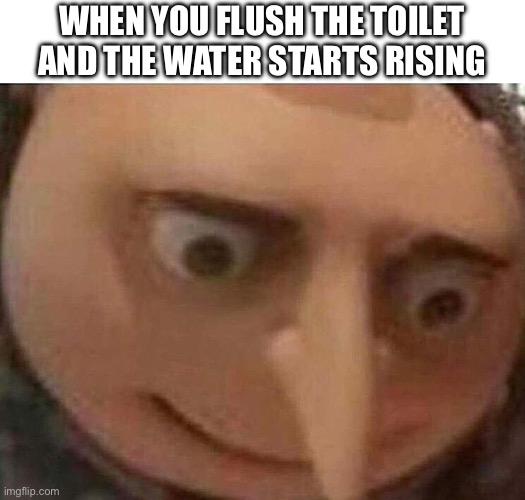 Uh oh | WHEN YOU FLUSH THE TOILET AND THE WATER STARTS RISING | image tagged in gru meme | made w/ Imgflip meme maker