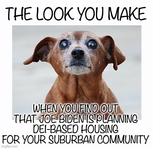 Now that we've ruined the cities... Another Social Experiment! | THE LOOK YOU MAKE; WHEN YOU FIND OUT THAT JOE BIDEN IS PLANNING DEI-BASED HOUSING FOR YOUR SUBURBAN COMMUNITY | image tagged in bidenomics,social experiment,biden | made w/ Imgflip meme maker