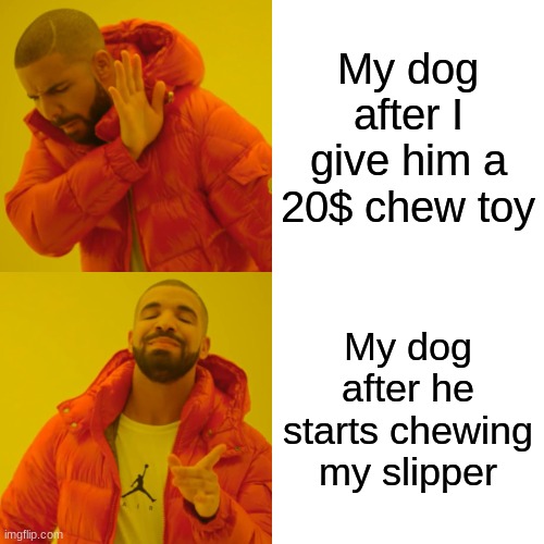Drake Hotline Bling | My dog after I give him a 20$ chew toy; My dog after he starts chewing my slipper | image tagged in memes,drake hotline bling | made w/ Imgflip meme maker