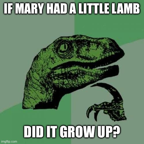 Philosoraptor Meme | IF MARY HAD A LITTLE LAMB; DID IT GROW UP? | image tagged in memes,philosoraptor | made w/ Imgflip meme maker