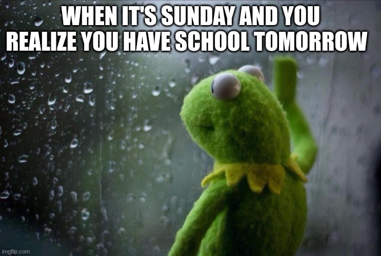 Sad Kermit | WHEN IT'S SUNDAY AND YOU REALIZE YOU HAVE SCHOOL TOMORROW | image tagged in sad kermit | made w/ Imgflip meme maker