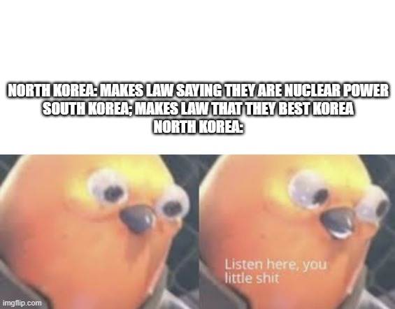 Listen here you little shit bird | NORTH KOREA: MAKES LAW SAYING THEY ARE NUCLEAR POWER
SOUTH KOREA; MAKES LAW THAT THEY BEST KOREA
NORTH KOREA: | image tagged in listen here you little shit bird | made w/ Imgflip meme maker