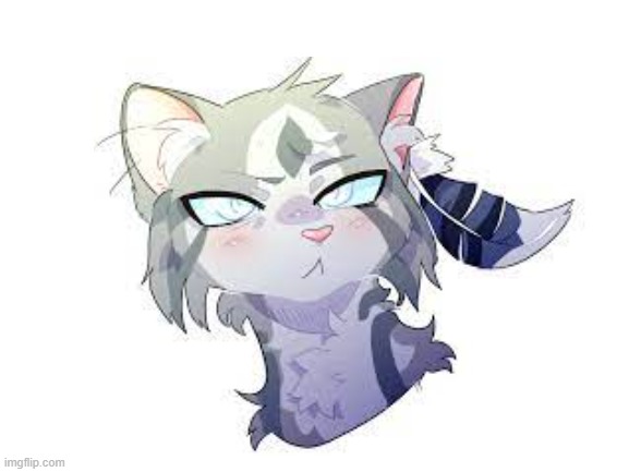 Our lord and savior Jayfeather | image tagged in blank white template,warrior cats,jayfeather,art | made w/ Imgflip meme maker