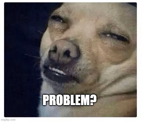 PROBLEM? | PROBLEM? | image tagged in chihuahua | made w/ Imgflip meme maker