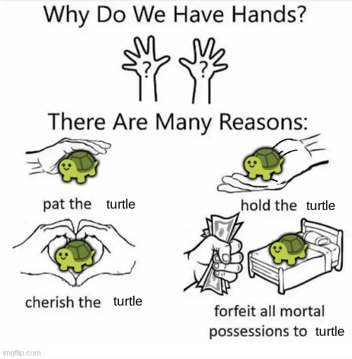 turtles | 🐢; 🐢; turtle; turtle; 🐢; 🐢; turtle; turtle | image tagged in why do we have hands all blank,turtle,i like turtles | made w/ Imgflip meme maker