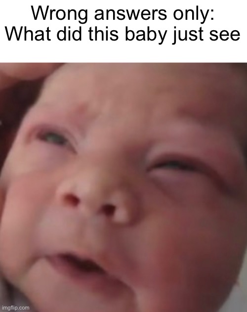 Part 1 | Wrong answers only:
What did this baby just see | made w/ Imgflip meme maker