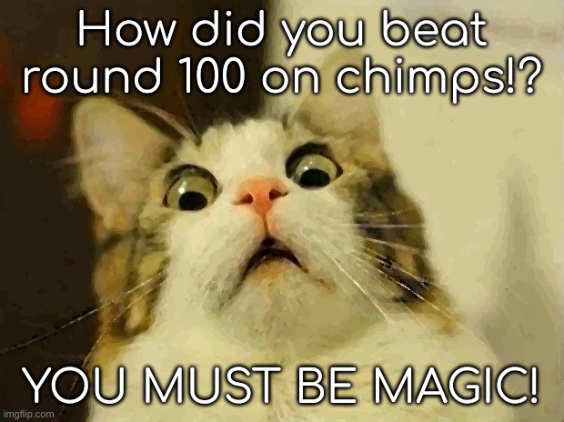 CHIMPS | How did you beat round 100 on chimps!? YOU MUST BE MAGIC! | image tagged in memes,scared cat | made w/ Imgflip meme maker