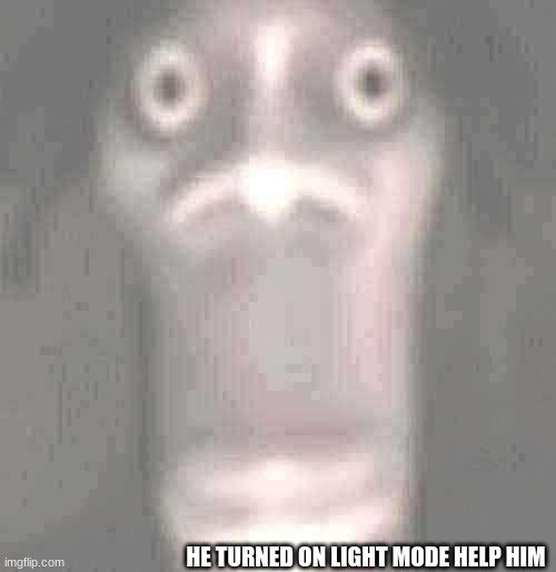Quandale dingle | HE TURNED ON LIGHT MODE HELP HIM | image tagged in quandale dingle | made w/ Imgflip meme maker