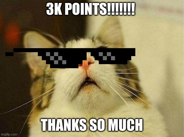 Woooooo | 3K POINTS!!!!!!! THANKS SO MUCH | image tagged in memes,scared cat | made w/ Imgflip meme maker