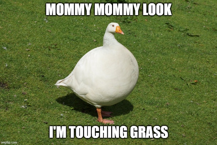 I have a weird affection toward honkus | MOMMY MOMMY LOOK; I'M TOUCHING GRASS | image tagged in honkus | made w/ Imgflip meme maker