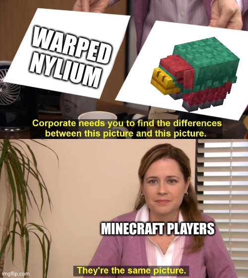 Yeah even even more SNIFFERS | WARPED NYLIUM; MINECRAFT PLAYERS | image tagged in they are the same picture | made w/ Imgflip meme maker