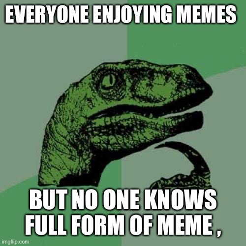 Philosoraptor | EVERYONE ENJOYING MEMES; BUT NO ONE KNOWS FULL FORM OF MEME , | image tagged in memes,philosoraptor | made w/ Imgflip meme maker